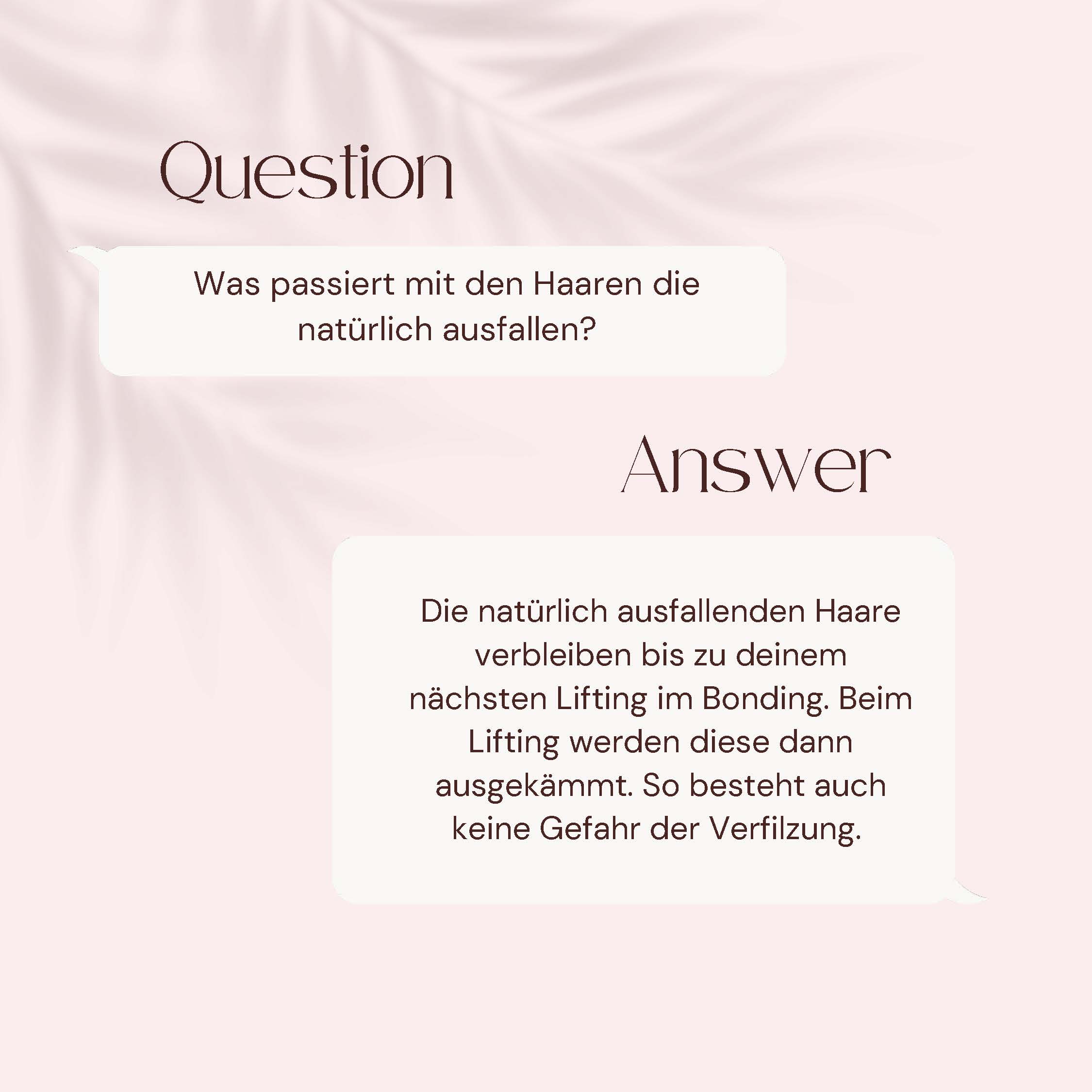Laurea_Question_and_Answer_1125_Seite_14