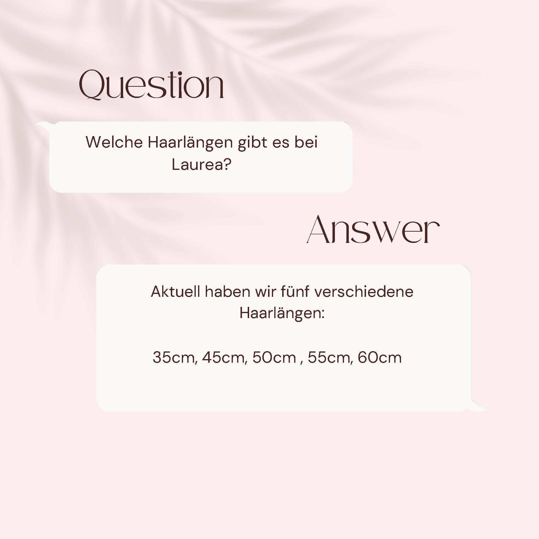 Laurea_Question_and_Answer_1125_Seite_29